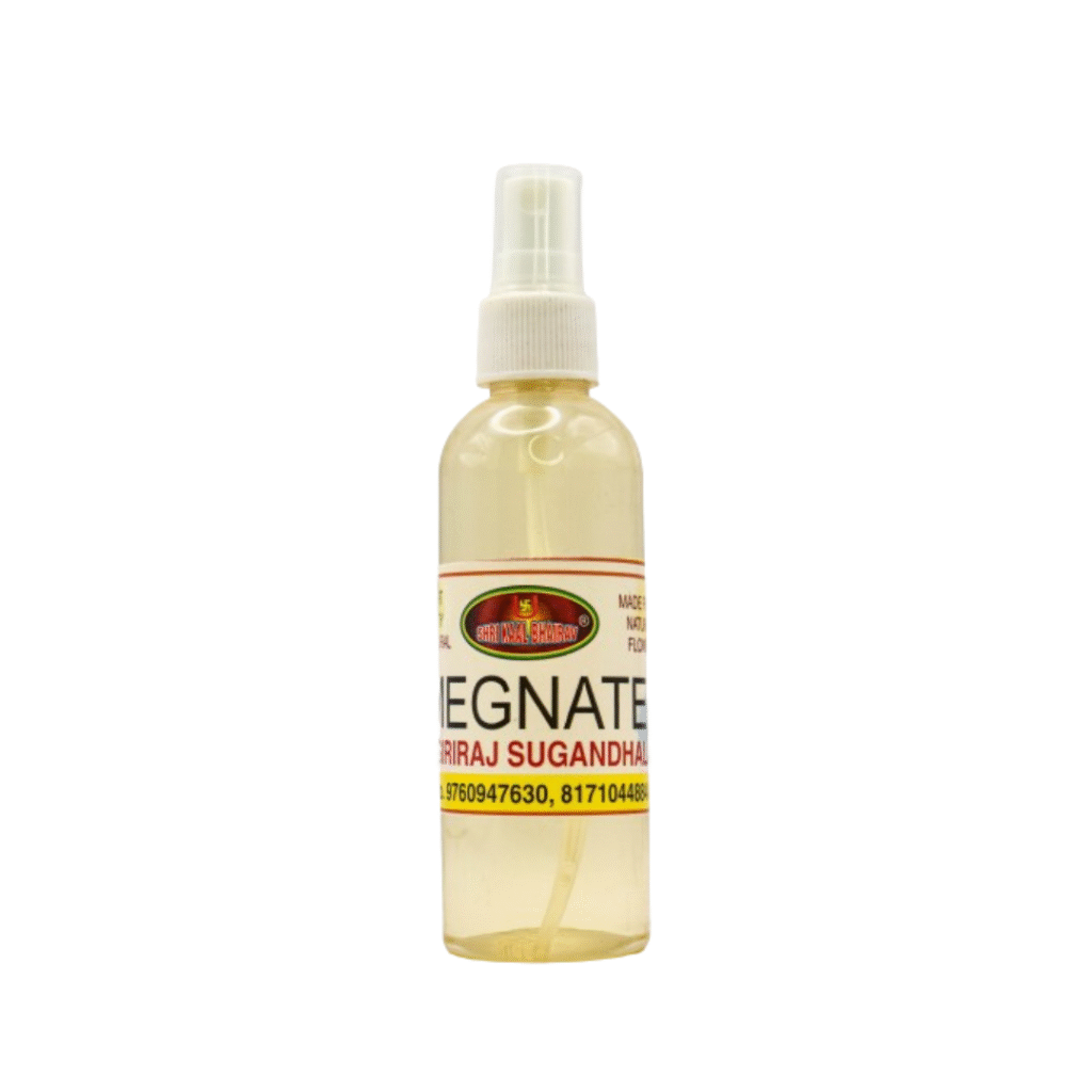 Premium Natural Fragrance Plastic Spray Megnate(Zero Alcohol) - Image 3