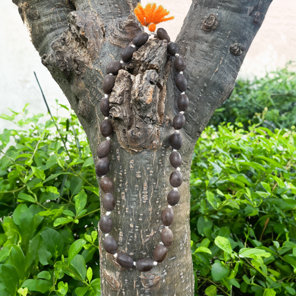 27+1 Kamal gatta mala Original, Lotus mala, Original 108 Lotus Seeds Kamal Gatta Mala for Japa, Laxmi Pooja and Wearing
