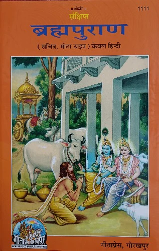 Sankshipt Braham Puran (संक्षित ब्रह्म पुराण) - 1111
